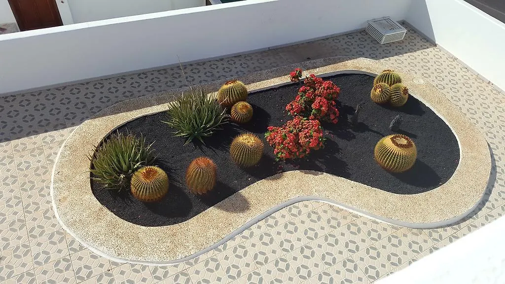 Panelo Cactus Apartment بويرتو ذيل كارمين
