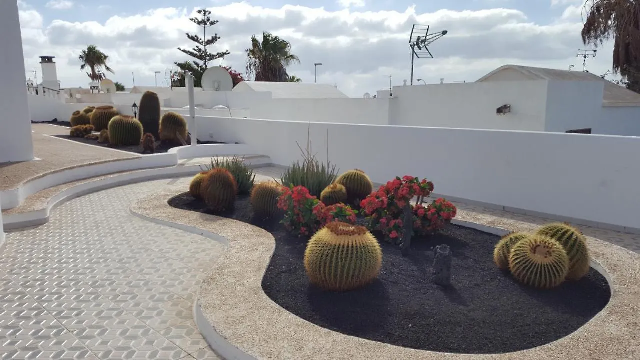 Panelo Cactus Apartment Puerto del Carmen